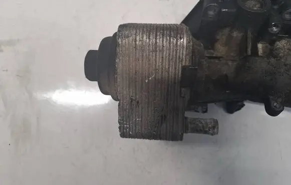 Volkswagen Touran I Engine oil radiator 