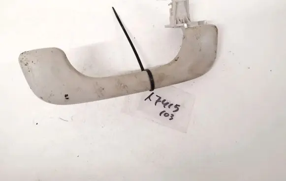 Front interior roof grab handle