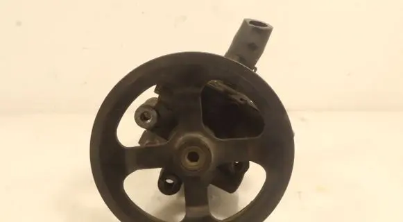 Peugeot 4007 Power steering pump 7Z273190