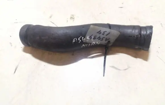 Nissan Almera N16 Engine coolant pipe/hose