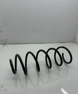 Rear coil spring