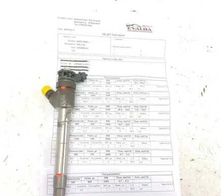 Peugeot Partner III Fuel injector 0445110955
