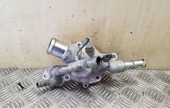 Thermostat/thermostat housing