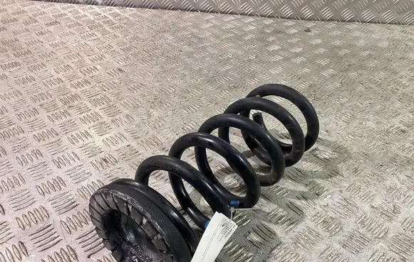 Ford Mustang VI Rear coil spring FR3C5560BE