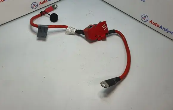 BMW 3 F30 F35 F31 Positive cable (battery) 9259425 61129259425 6834543