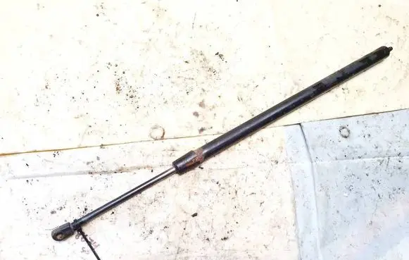 Chrysler Pacifica Tailgate/trunk strut/damper