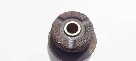 Coil spring mount