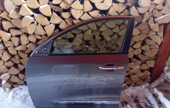 KIA Niro Front door 
