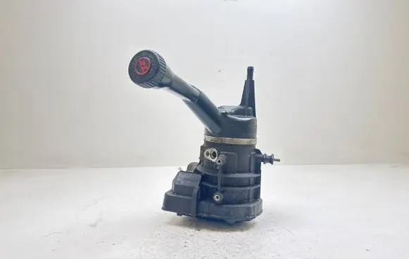 Electric power steering pump