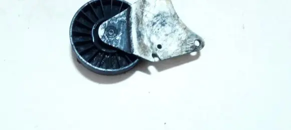 Citroen Xsara Generator/alternator belt tensioner 9621424580
