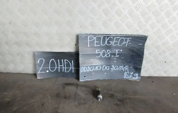 Peugeot 508 Air quality sensor 
