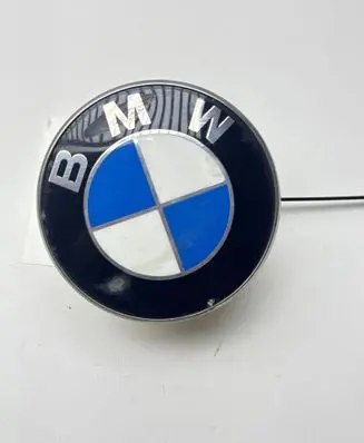 BMW Z4 E85 E86 Front indicator light 69165619 224320