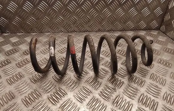 Rear coil spring