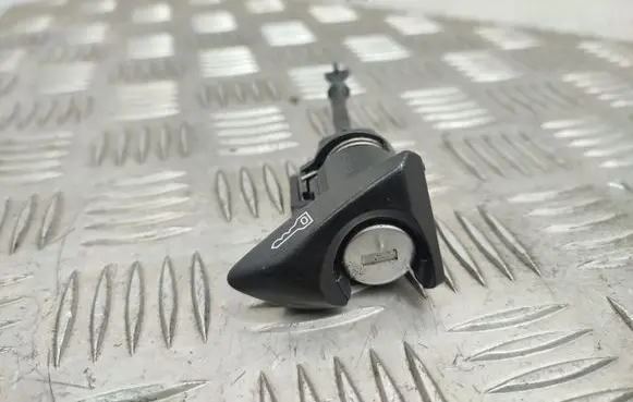 Lexus RX 450H Front door lock (next to the handle) 