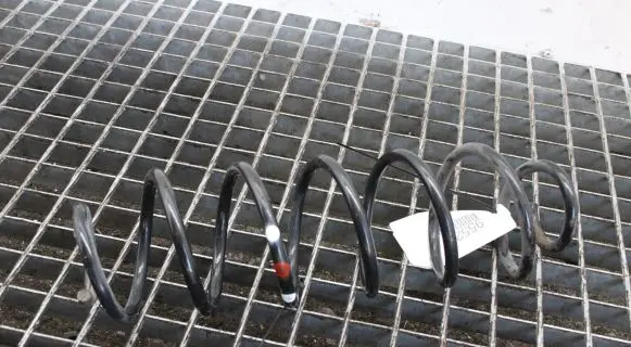 Citroen C4 Cactus Rear coil spring