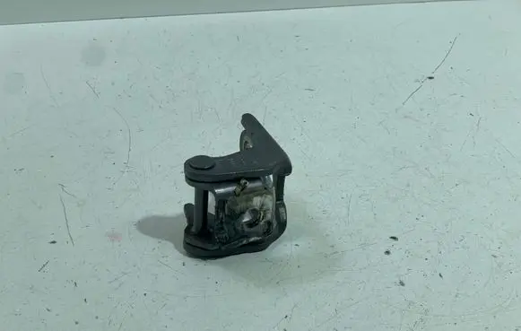 Renault Espace V (RFC) Front door lower hinge 