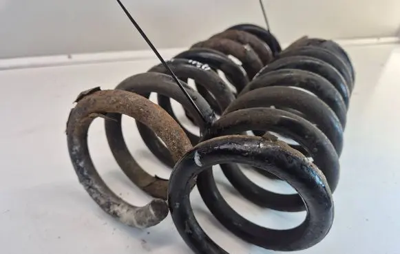 Rear coil spring
