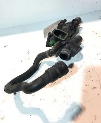 Thermostat/thermostat housing