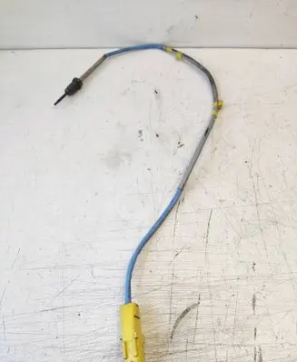 Nissan X-Trail T31 Exhaust gas temperature sensor 8200941746