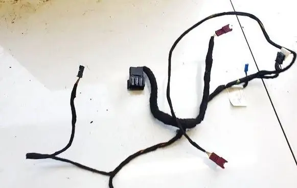 Other wiring loom