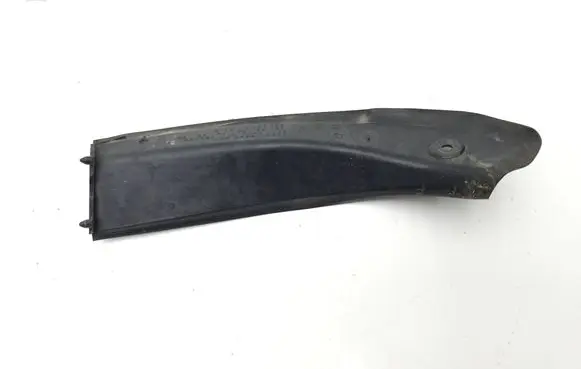 Rear/tail light trim molding