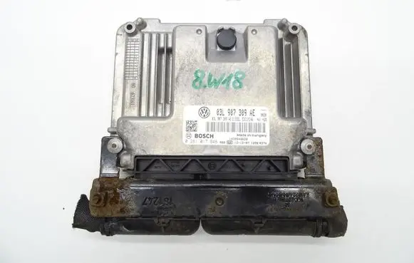 Engine control unit/module ECU