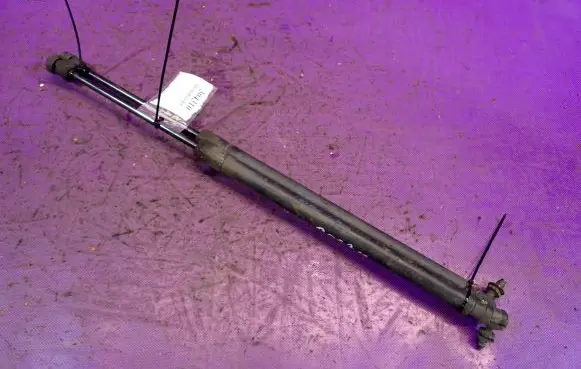Tailgate strut