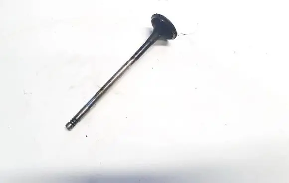 Renault Vel Satis Valve 