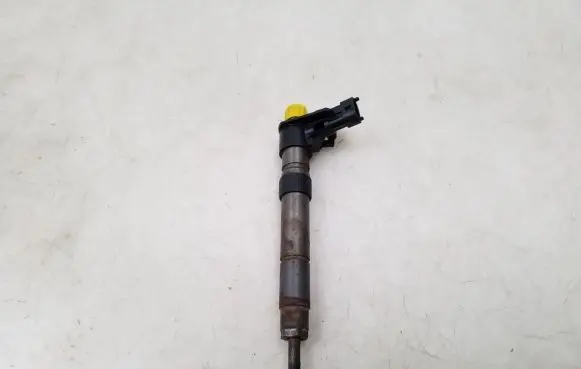 Citroen C5 Fuel injector 9687454380