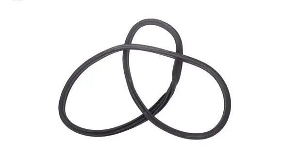 BMW 2 F44 Rubber seal rear door 7483099