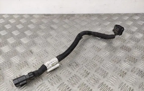 Fiat 500X Other wiring loom 00552629430