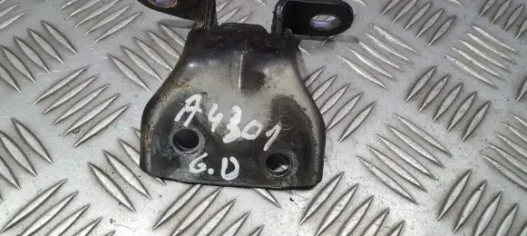 KIA Rio Rear door lower hinge