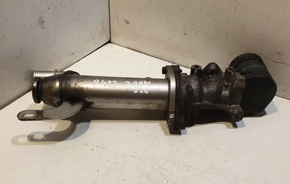 Peugeot 407 EGR valve 9645689780 875816W