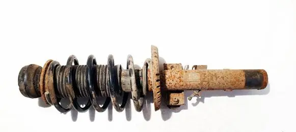 Skoda Roomster (5J) Front shock absorber/damper 