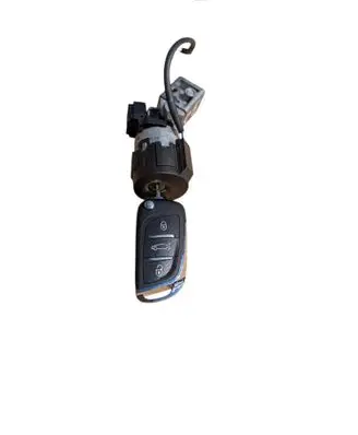 Citroen C5 Ignition lock 9663123380