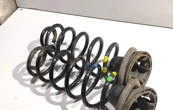 Rear coil spring