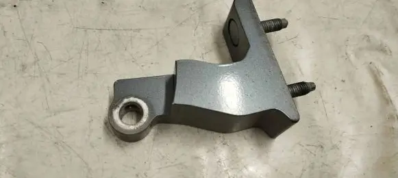 Rear door lower hinge