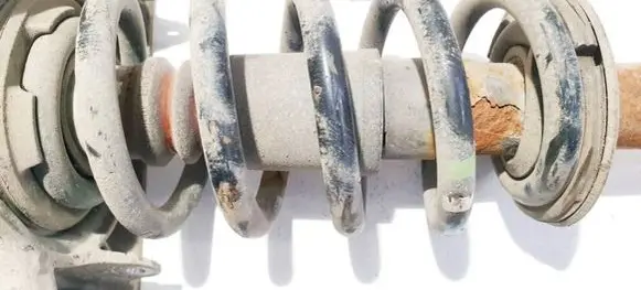 Front coil spring