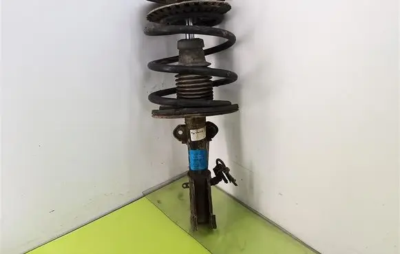 Chrysler Voyager Front shock absorber with coil spring 824903007071