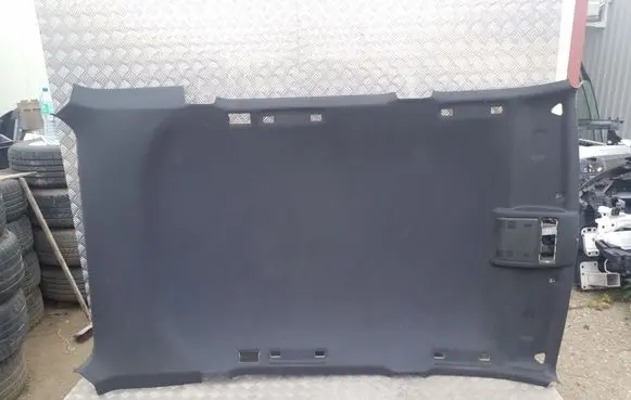 BMW X3 E83 Headlining 360616AN