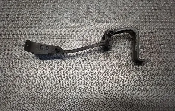 Renault Trafic III (X82) Rear door check strap stopper 824302173RA
