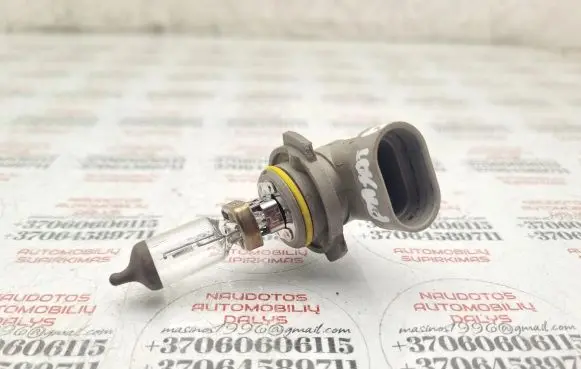 Volkswagen PASSAT B6 Fog light bulb 