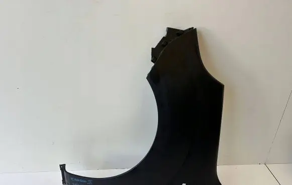 Renault Kangoo II Fender 631015870R