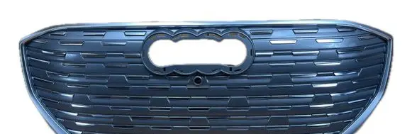 Audi Q4 e-tron Front grill 89A853651B