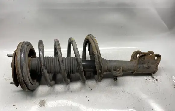 Hyundai Santa Fe Front shock absorber with coil spring