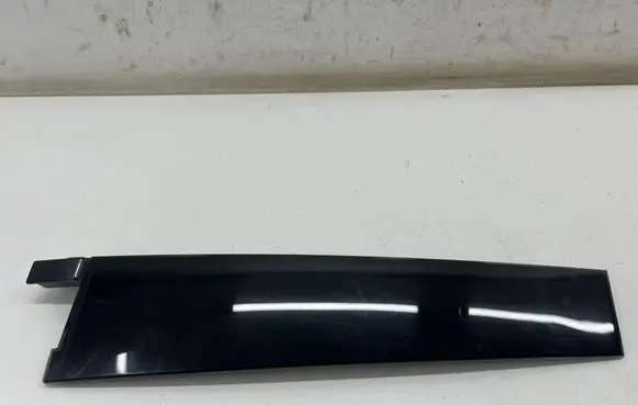 Ford Mustang Mach-E Rear door glass trim molding LJ8BR254A40ABW