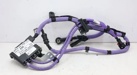 BMW X6 G06 Positive wiring loom 765031000DMWGK1706 765031000D