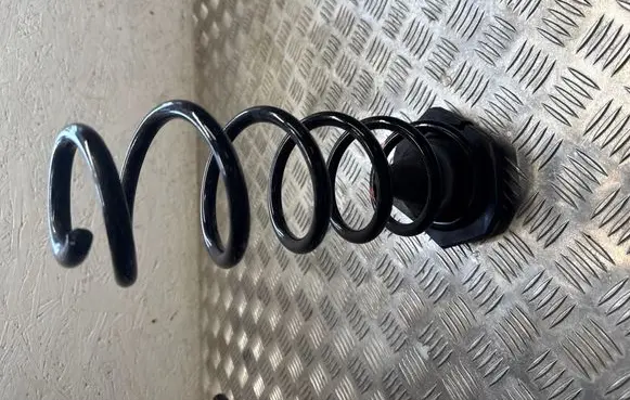 Rear coil spring