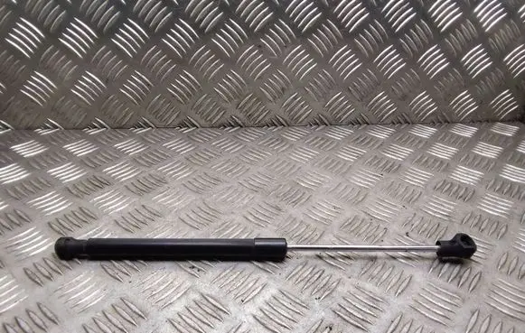 Renault Laguna III Tailgate/trunk strut/damper 904600001R
