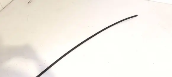 Dodge Durango III Rubber seal rear door